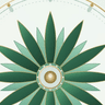 Hridaya Anahata mark